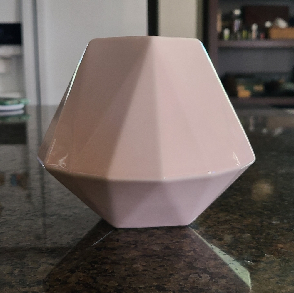 West Elm Pink Vase